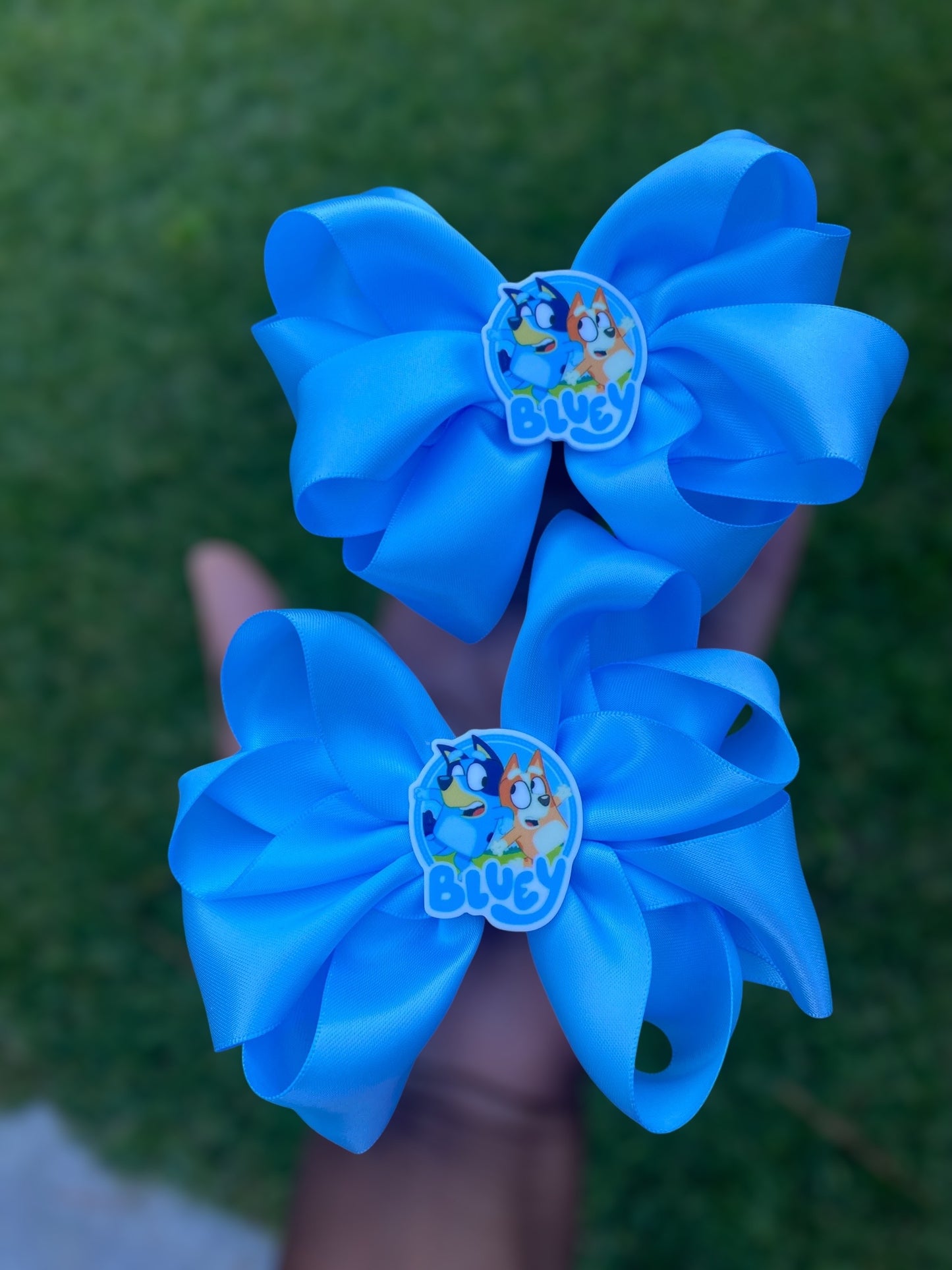 Bluey tutu outfit Bluey Birthday outfit