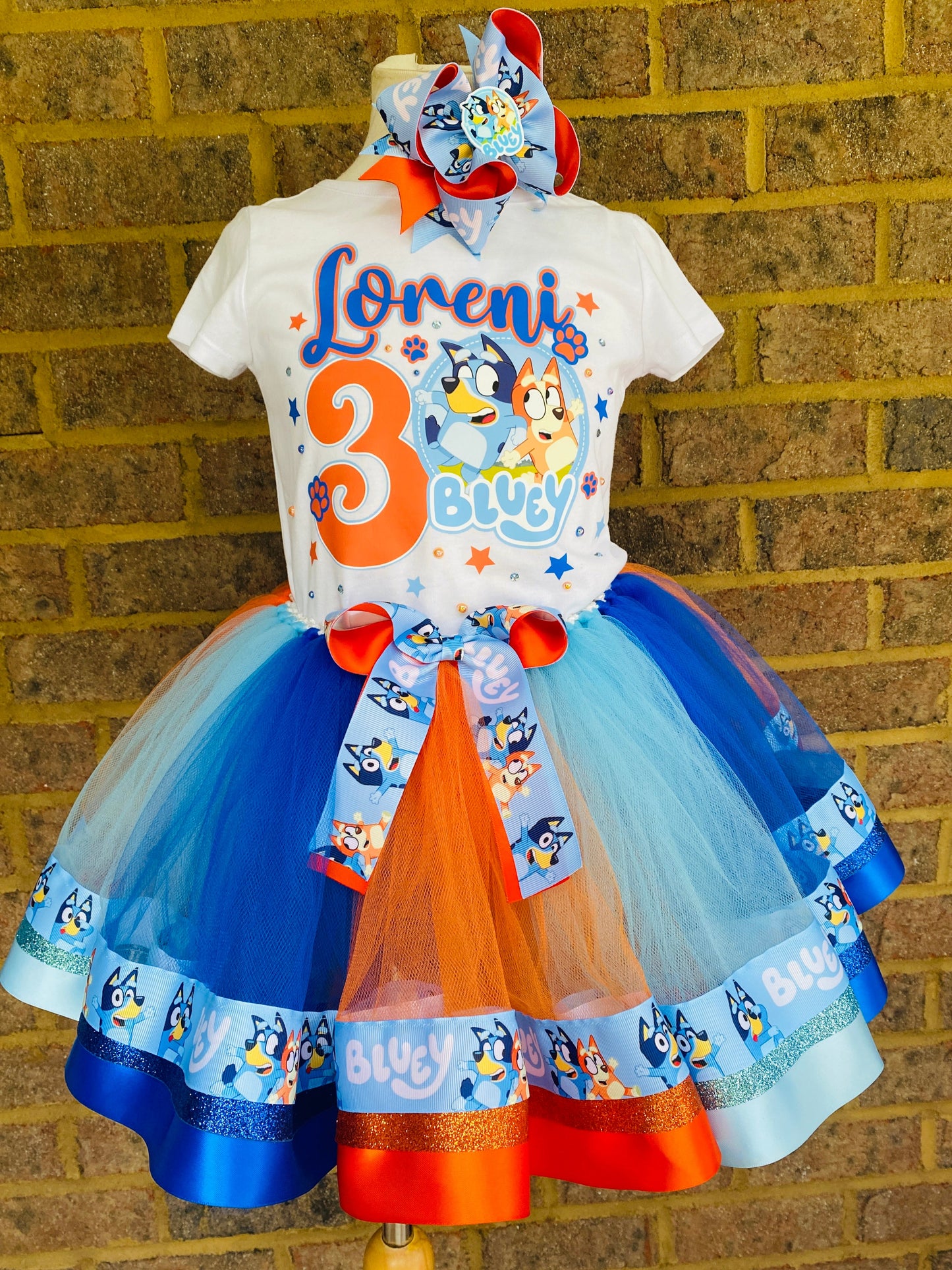 Blue Birthday outfit Bluey tutu set Blue tutu outfit