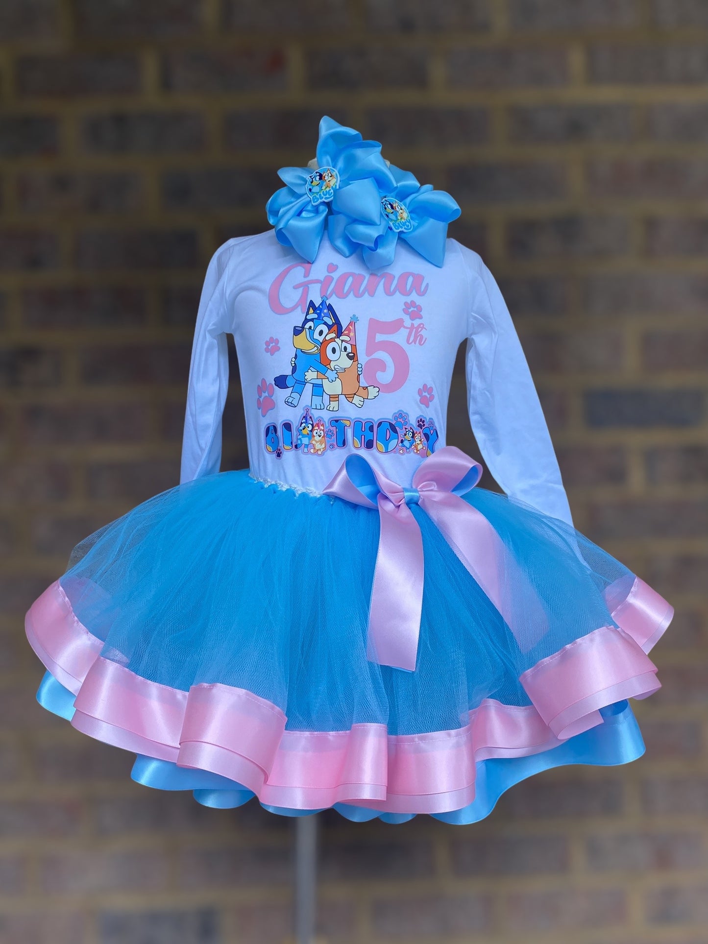 Bluey tutu outfit (2 layer tutu)