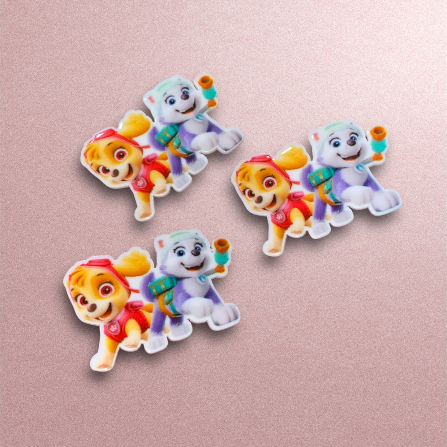 Paw Patrol Resin Planar (Price is for 1 Piece)